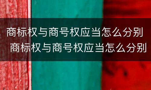 商标权与商号权应当怎么分别 商标权与商号权应当怎么分别使用