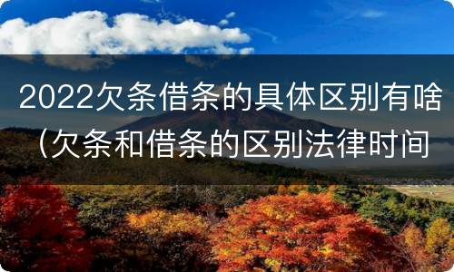 2022欠条借条的具体区别有啥（欠条和借条的区别法律时间多少年）