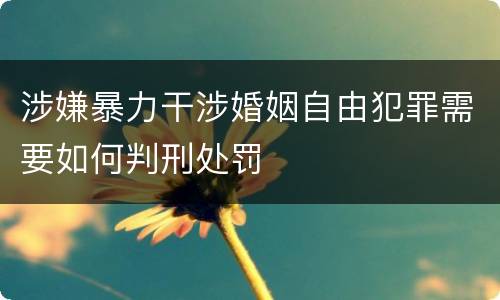 涉嫌暴力干涉婚姻自由犯罪需要如何判刑处罚