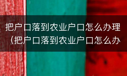 把户口落到农业户口怎么办理（把户口落到农业户口怎么办理退休）