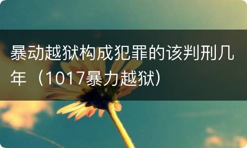 暴动越狱构成犯罪的该判刑几年（1017暴力越狱）