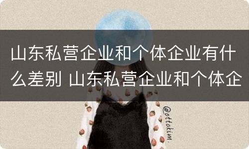 山东私营企业和个体企业有什么差别 山东私营企业和个体企业有什么差别吗