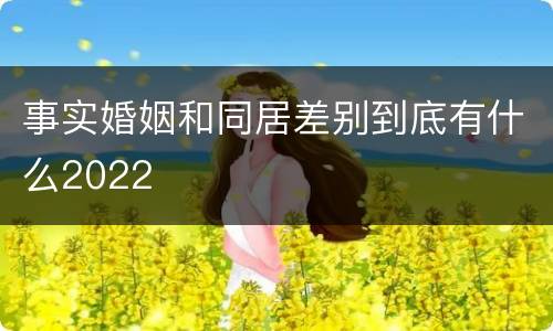 事实婚姻和同居差别到底有什么2022