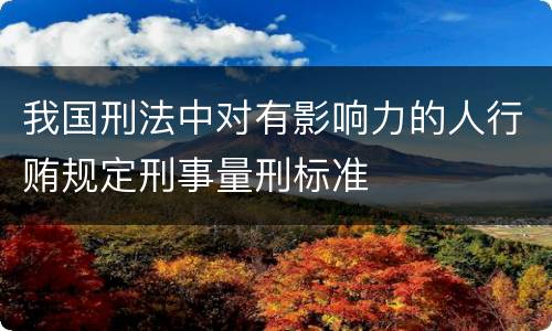 我国刑法中对有影响力的人行贿规定刑事量刑标准