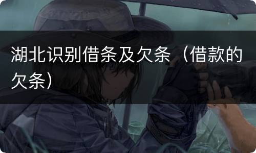湖北识别借条及欠条（借款的欠条）