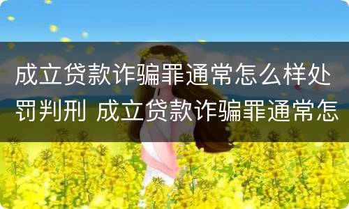 成立贷款诈骗罪通常怎么样处罚判刑 成立贷款诈骗罪通常怎么样处罚判刑吗