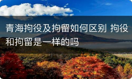 青海拘役及拘留如何区别 拘役和拘留是一样的吗
