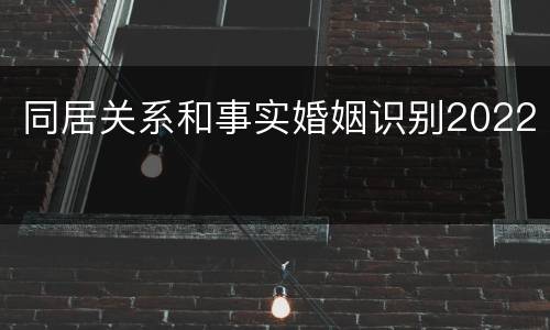 同居关系和事实婚姻识别2022