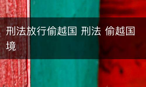刑法放行偷越国 刑法 偷越国境