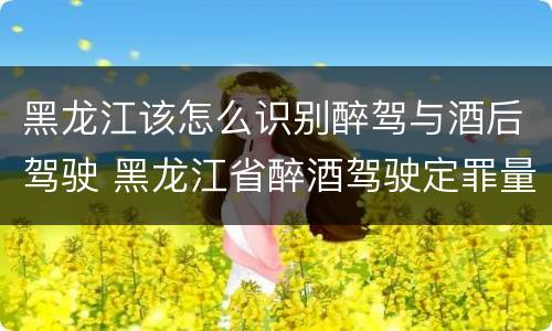 黑龙江该怎么识别醉驾与酒后驾驶 黑龙江省醉酒驾驶定罪量刑标准