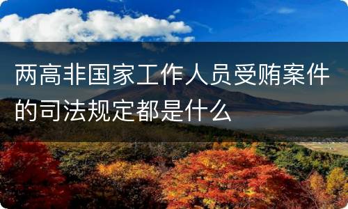 两高非国家工作人员受贿案件的司法规定都是什么