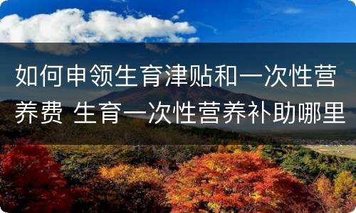 如何申领生育津贴和一次性营养费 生育一次性营养补助哪里领