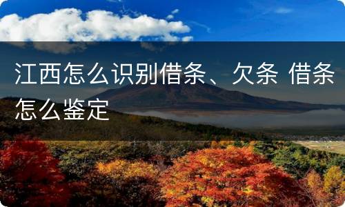 江西怎么识别借条、欠条 借条怎么鉴定