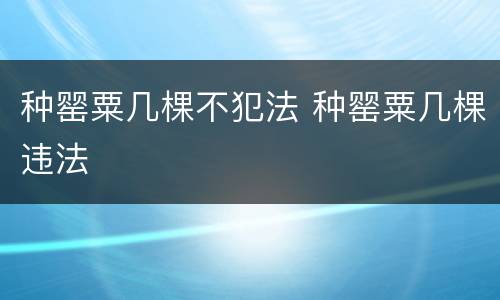种罂粟几棵不犯法 种罂粟几棵违法