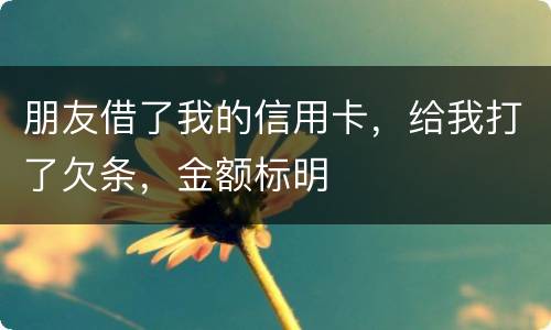 朋友借了我的信用卡，给我打了欠条，金额标明