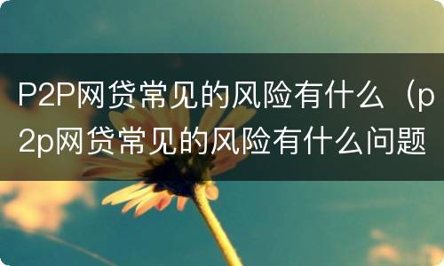 P2P网贷常见的风险有什么（p2p网贷常见的风险有什么问题）