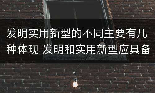 发明实用新型的不同主要有几种体现 发明和实用新型应具备的条件