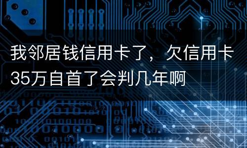 我邻居钱信用卡了，欠信用卡35万自首了会判几年啊