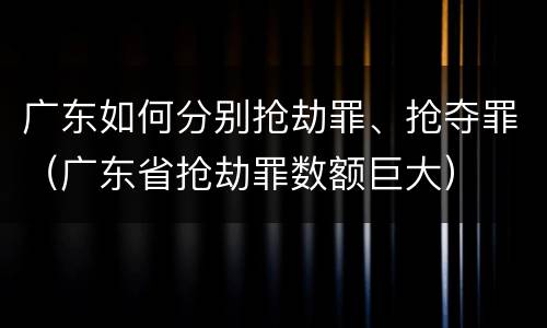 广东如何分别抢劫罪、抢夺罪（广东省抢劫罪数额巨大）