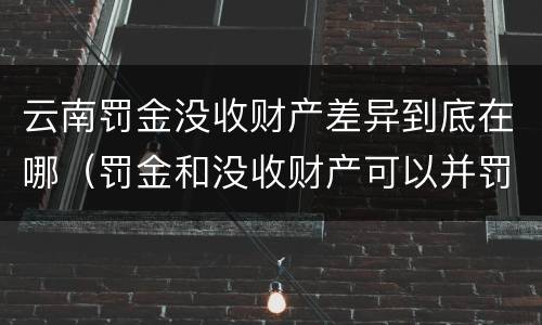 云南罚金没收财产差异到底在哪（罚金和没收财产可以并罚吗）