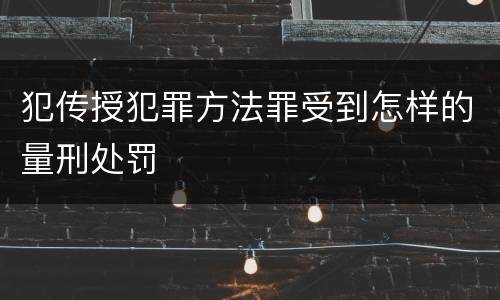 犯传授犯罪方法罪受到怎样的量刑处罚