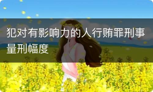 犯对有影响力的人行贿罪刑事量刑幅度