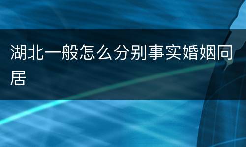 湖北一般怎么分别事实婚姻同居