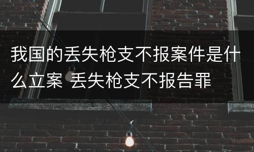 我国的丢失枪支不报案件是什么立案 丢失枪支不报告罪