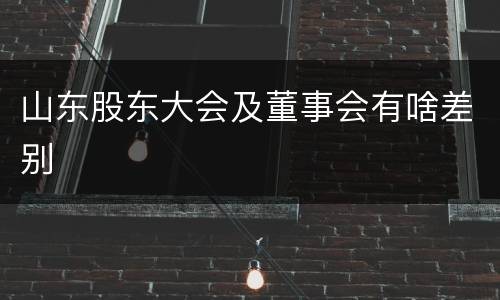 山东股东大会及董事会有啥差别