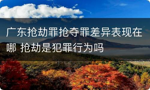 广东抢劫罪抢夺罪差异表现在哪 抢劫是犯罪行为吗