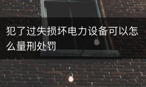 犯了过失损坏电力设备可以怎么量刑处罚