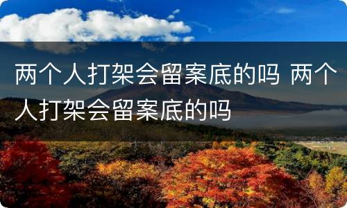 两个人打架会留案底的吗 两个人打架会留案底的吗