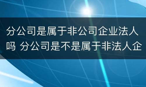 分公司是属于非公司企业法人吗 分公司是不是属于非法人企业