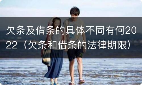 欠条及借条的具体不同有何2022（欠条和借条的法律期限）