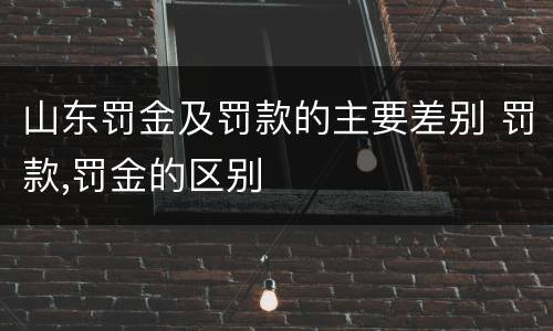 山东罚金及罚款的主要差别 罚款,罚金的区别
