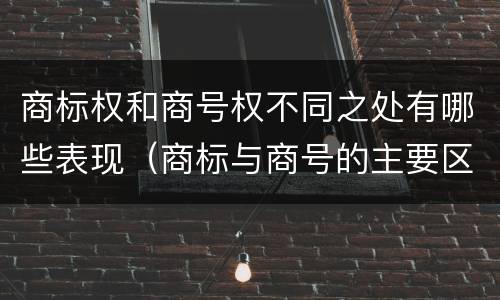 商标权和商号权不同之处有哪些表现（商标与商号的主要区别表现）