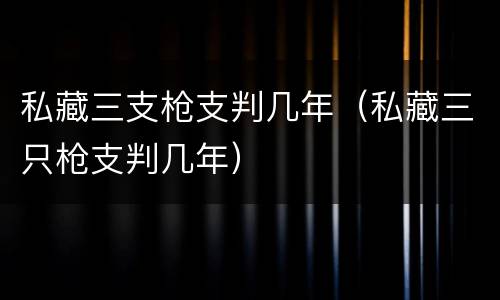 私藏三支枪支判几年（私藏三只枪支判几年）