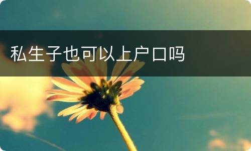 私生子也可以上户口吗