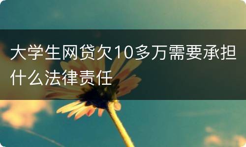 大学生网贷欠10多万需要承担什么法律责任