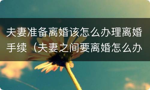 夫妻准备离婚该怎么办理离婚手续（夫妻之间要离婚怎么办）