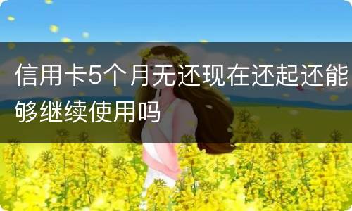 信用卡5个月无还现在还起还能够继续使用吗