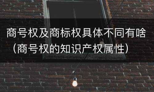 商号权及商标权具体不同有啥（商号权的知识产权属性）