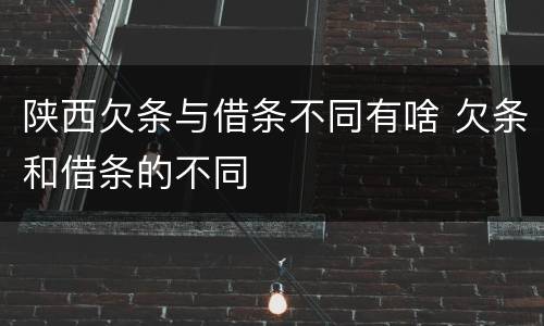 陕西欠条与借条不同有啥 欠条和借条的不同