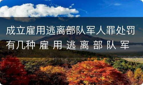成立雇用逃离部队军人罪处罚有几种 雇 用 逃 离 部 队 军 人 罪