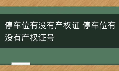 停车位有没有产权证 停车位有没有产权证号