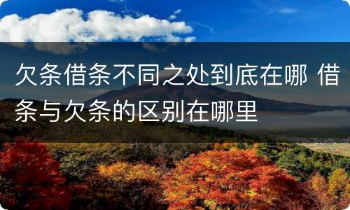 欠条借条不同之处到底在哪 借条与欠条的区别在哪里
