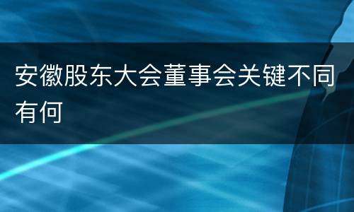 安徽股东大会董事会关键不同有何