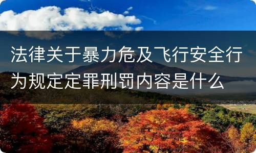 法律关于暴力危及飞行安全行为规定定罪刑罚内容是什么