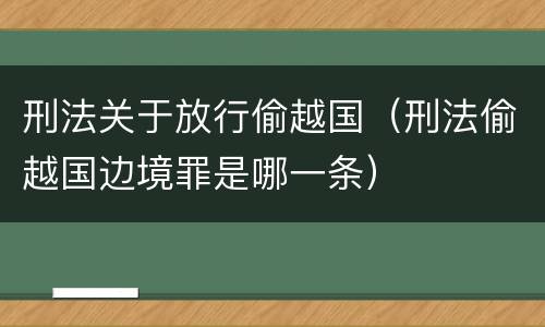 刑法关于放行偷越国（刑法偷越国边境罪是哪一条）