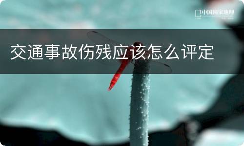 交通事故伤残应该怎么评定